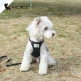 Япония Lotte Radica Pet Kokudura Bare Betlin Live Маленькие и маленькие собаки, ходящие собаки и грязная защита