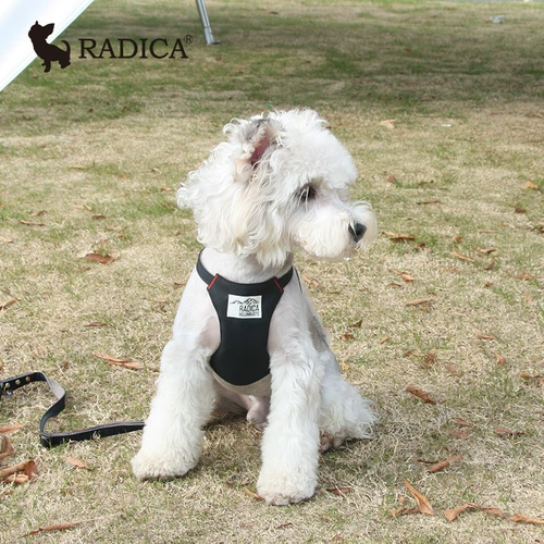 Япония Lotte Radica Pet Kokudura Bare Betlin Live Маленькие и маленькие собаки, ходящие собаки и грязная защита