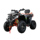 ATV200CC ATV взрослый внедорожник с автоматической коробкой передач квадроцикл вездеход, пересекающий джунгли, горный велосипед mini 4