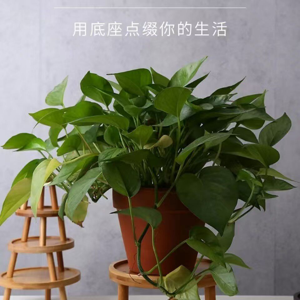 实木花架竹制品花盆