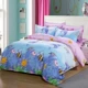 Độc thân mảnh chăn rắn sinh mùa đông 150180200230 đôi đặt 1.5 / 1.8 / giường 2m - Quilt Covers 	chăn phao hàn quốc