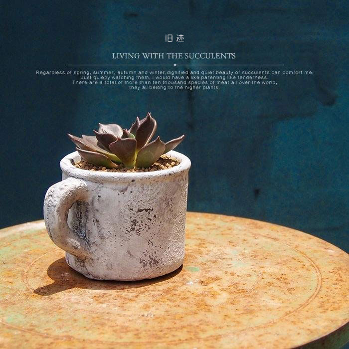 Succulent flower pot retro European ceramic classical flower pot Japanese creative mini imitation water cup cement flower pot