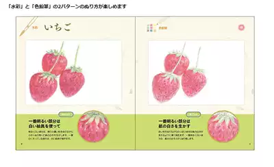 ぬり絵で季節の絵手紙水彩和彩色铅笔着色书风景和静物图案