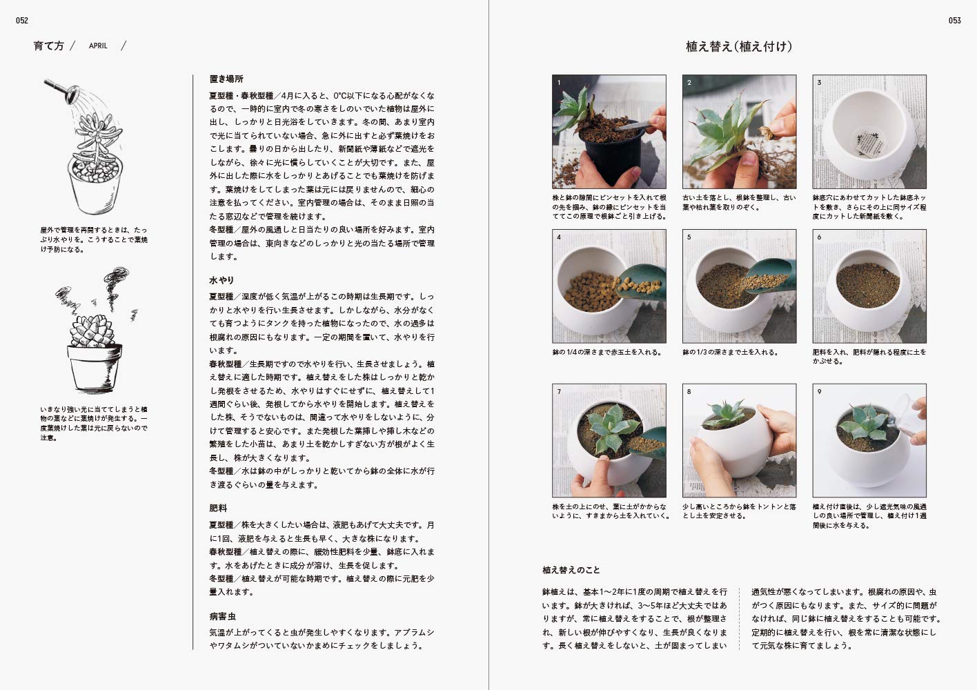 日本はじめての多肉植物栽培多汁仙人掌書鬆山美紗日文 日本はじめての多肉植物栽培多汁仙人掌書鬆山美紗日文