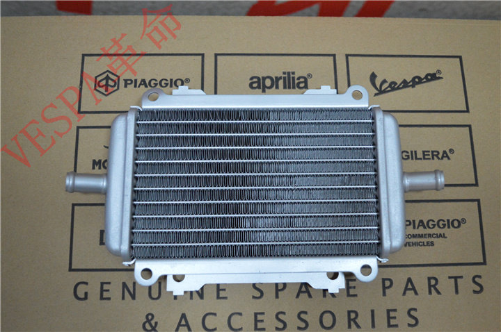 VESPA GTS GTS 250300 original plant water tank water cooler