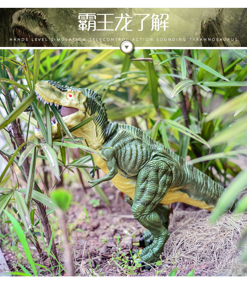 Trẻ em của khủng long đồ chơi động vật mô phỏng điện điều khiển từ xa Tyrannosaurus cá sấu sẽ đi bộ 3 tuổi cậu bé 4161 món quà xe ô tô điều khiển