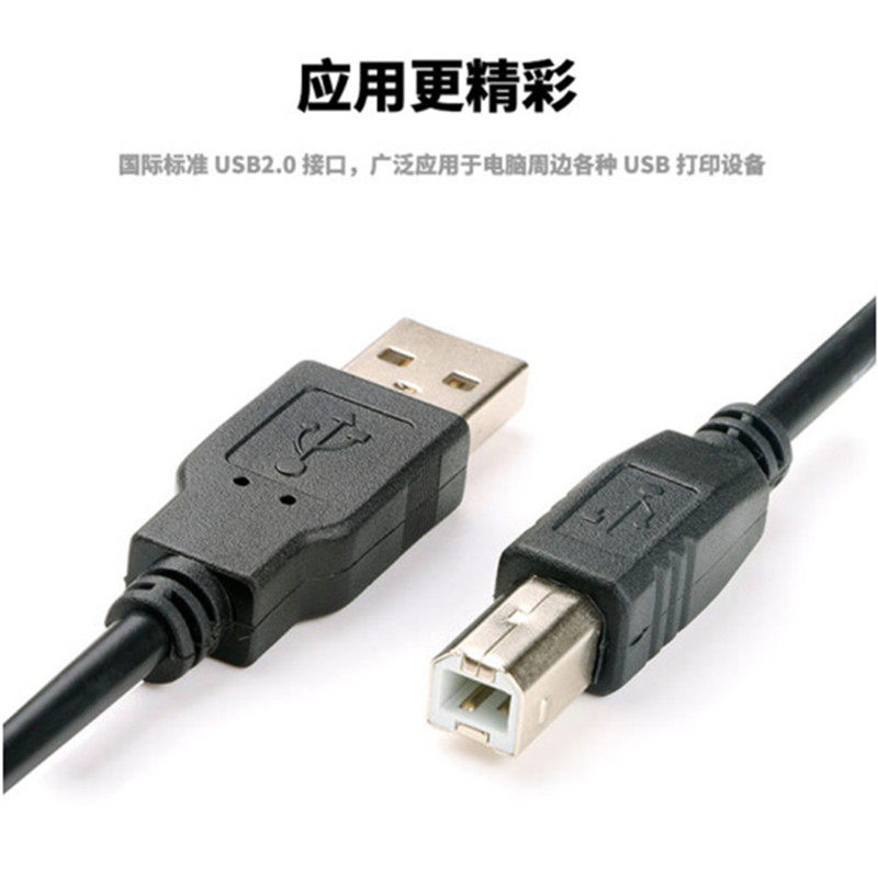 拯救电脑小白！惠普电脑高级启动选项怎么进？手把手教你搞定！