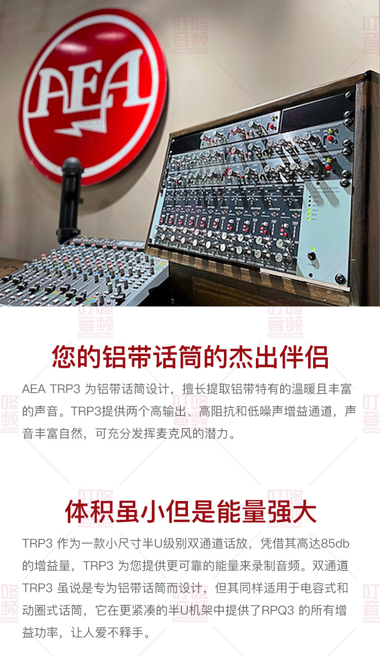 AEA TRP 3 话筒放大器插图2