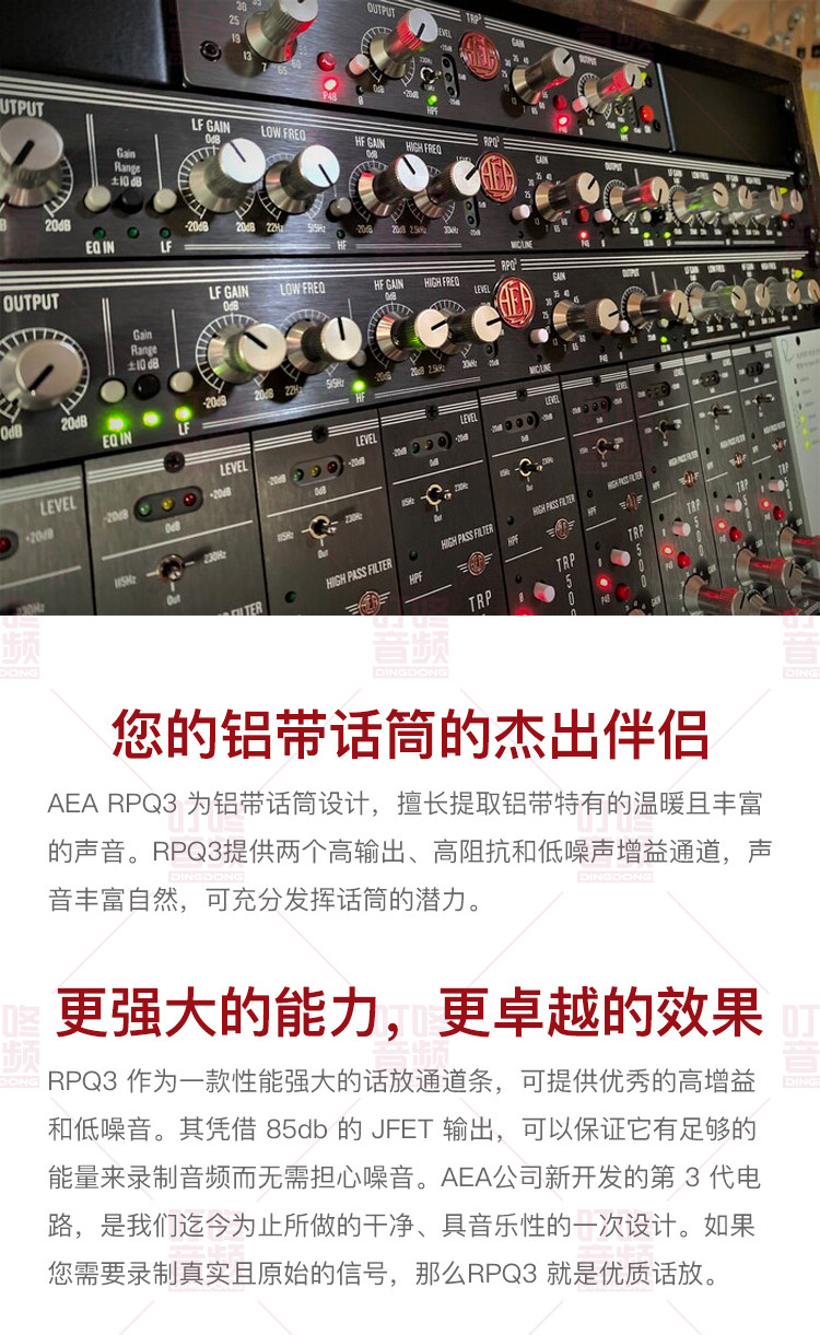 AEA RPQ3 双通道晶体管均衡器插图2