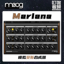 Genuine Moog Mariana bass synthesizer arranger and production of orthodox bass electronic dance music plug-in
