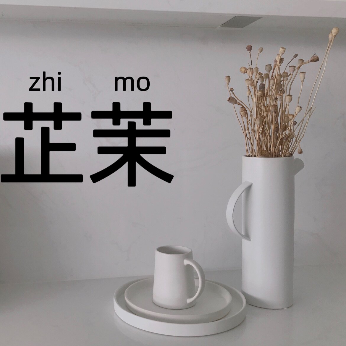 芷茉衣社