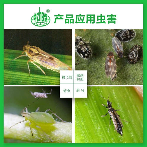 Zhongbao Cumizone фенилфенилфенил -афонированная цветочная тля тли тли и получения средств, пестициды зеленых листьев Cicada Shell