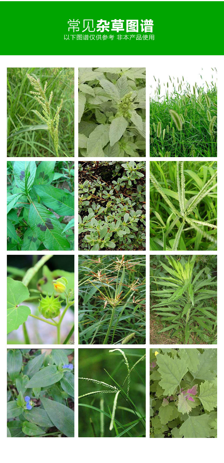 Детали Zhicium chnomium new_08.jpg
