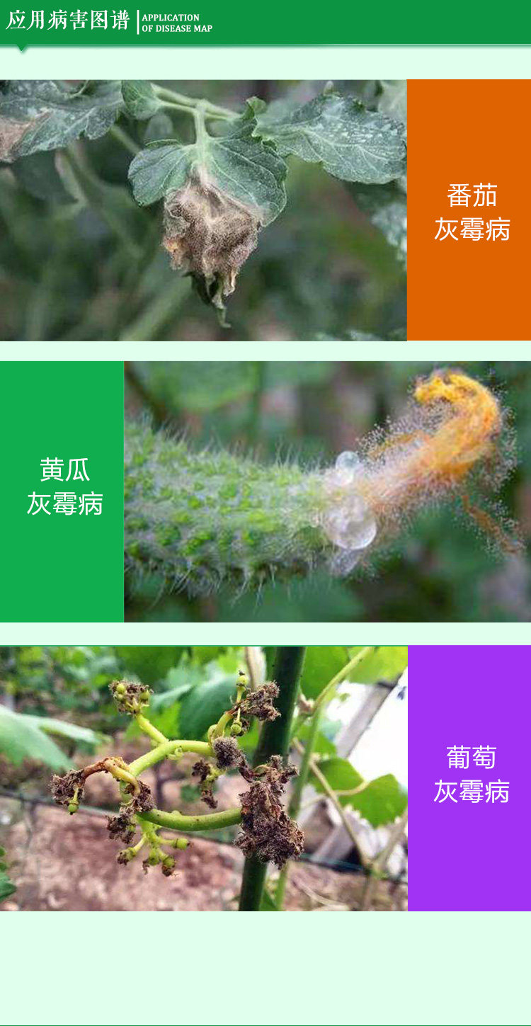 Shi jiale Deffice_04.jpg