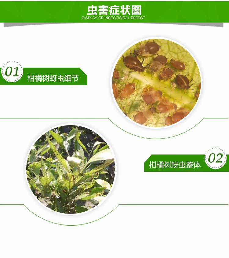 Portide 脒 Страница подробности (новая) _04.jpg