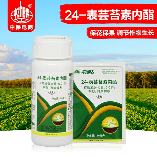 Zhongbao Yunyun Lipidone Lipidon Crore Crons сильные саженцы, чтобы снять повреждение лекарств и плодозащитные фрукты, увеличивая производственное регулятор роста растений
