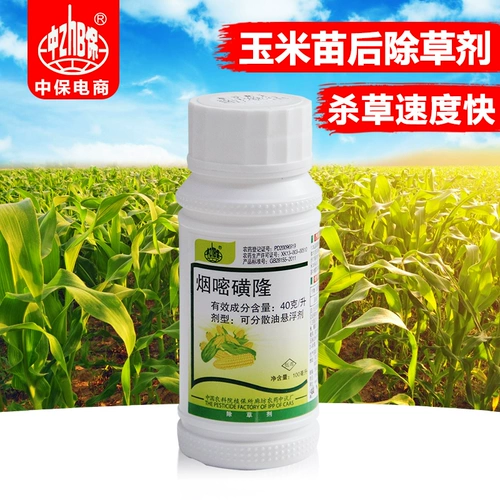Zhongbao Yanlu Sulfuron 4%саженцы кукурузного поля Пента Птицид Пестицид ПИКАНА ПЕРСВЕЛИНА 100 МЛ/АКРЫ БЕЗ