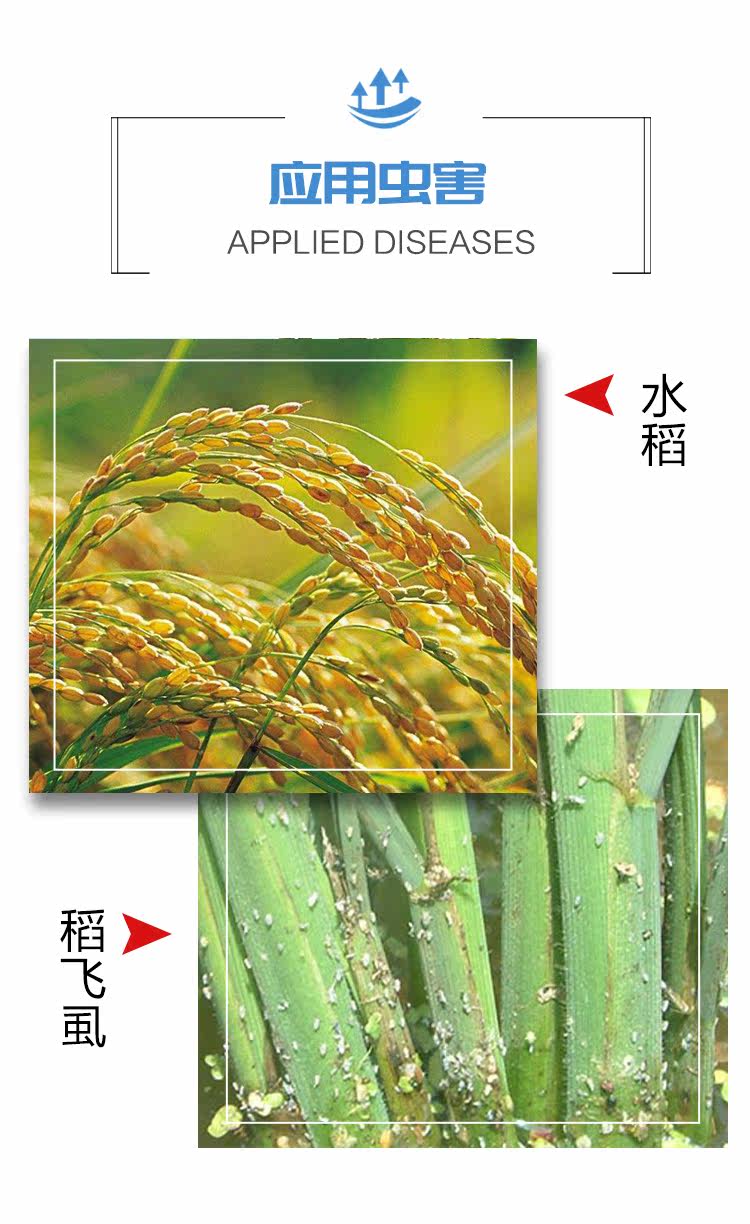 Подробная информация о Zhongbao Rongjun_04.jpg