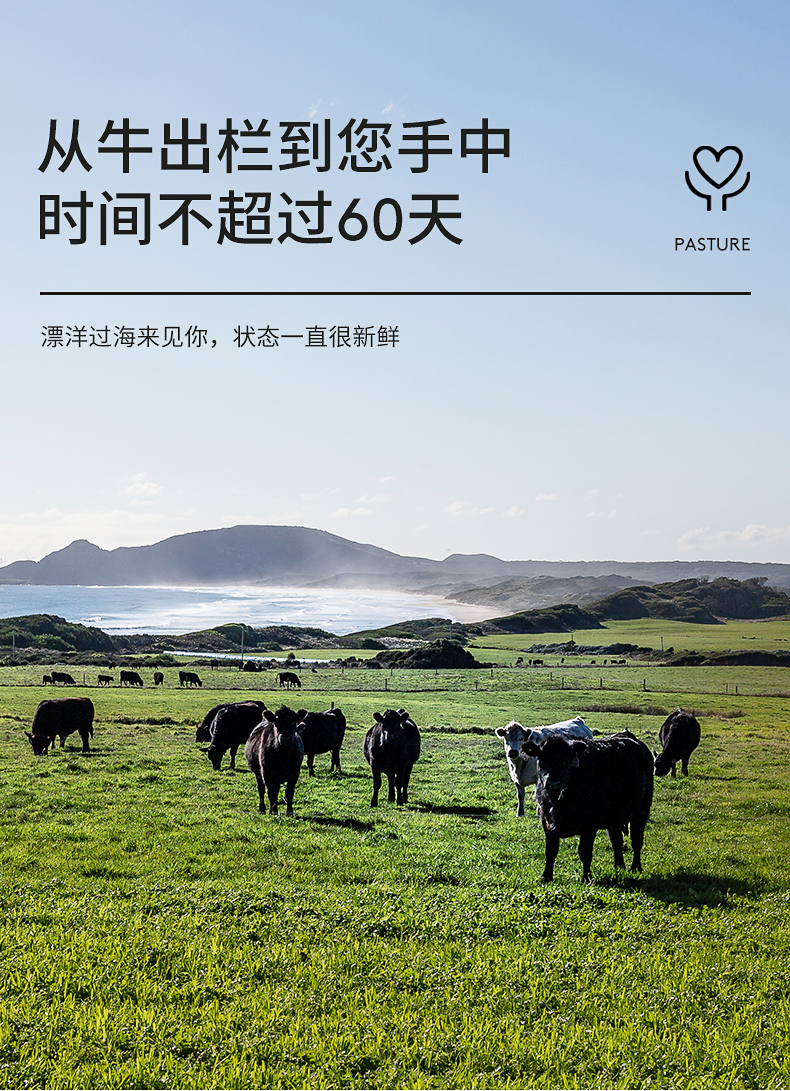 小牛凯西 澳洲进口 整切牛排 西冷眼肉牛排套餐 100g*10片 图14