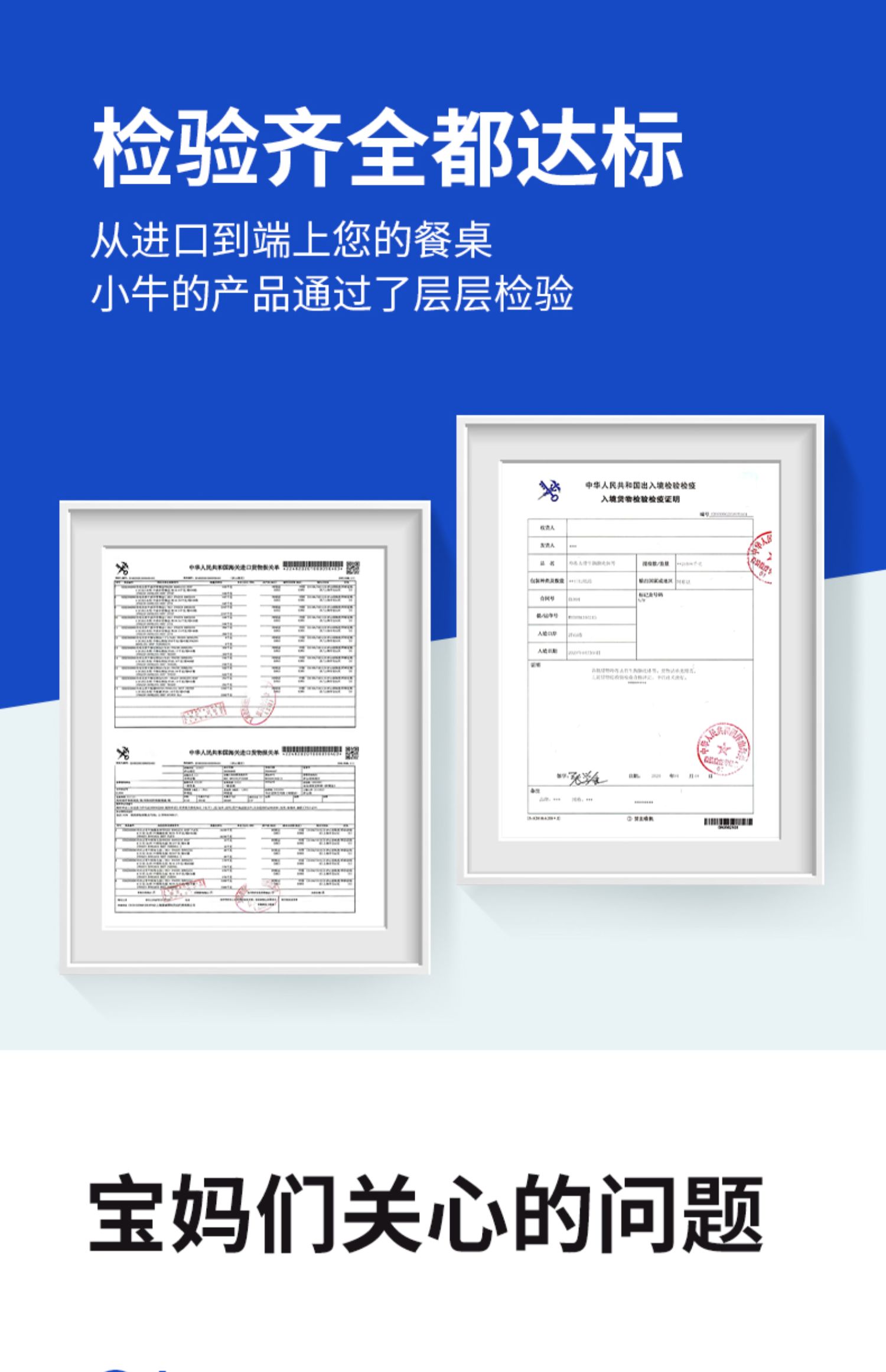 【小牛凯西旗舰店】小牛凯西菲力牛排10片