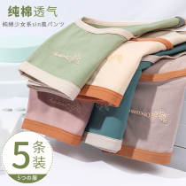 Pure cotton underwear ladies graphene antibacterial mid-waist girl girls breathable summer thin section Japanese triangle shorts head