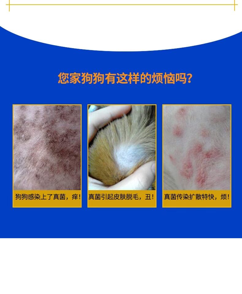 Golden Shield Pitffin giọt 20ml Cat Dog Bệnh nấm da Thuốc mèo Pet Spray Sử dụng bên ngoài - Cat / Dog Medical Supplies Dụng cụ phòng khám thú y