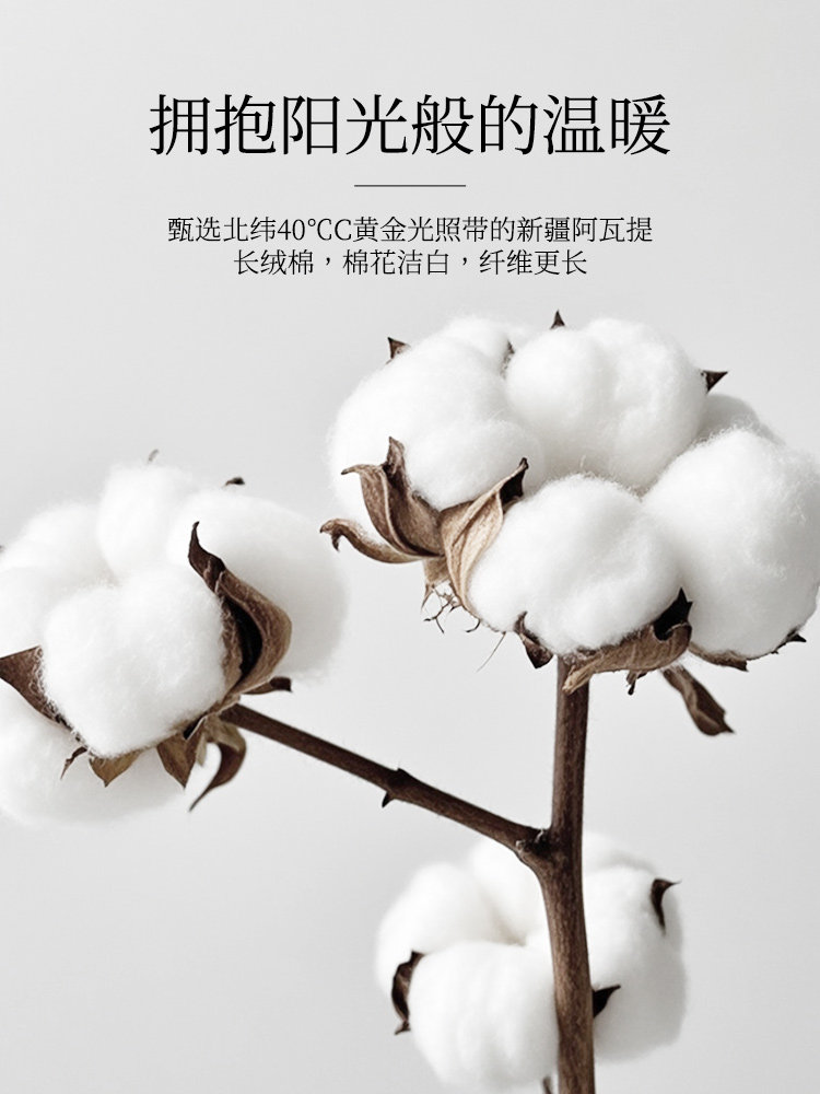 Light Luxury 60-Count Four-Piece Bedding Set, Pure Cotton, 2025 New Model, High-End Feel, Master Bedroom Duvet Cover, Bed Sheet, Bedding Set Three