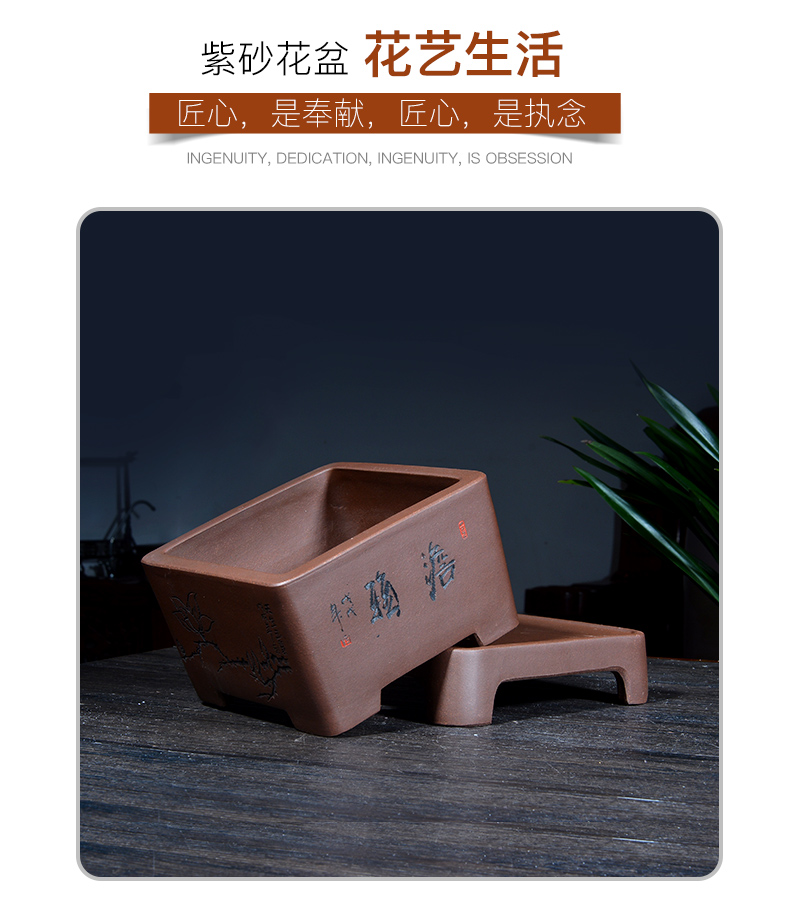 Greatness, yixing purple sand size flowerpot more than four square basin meat clivia is carved painting special pot the plants