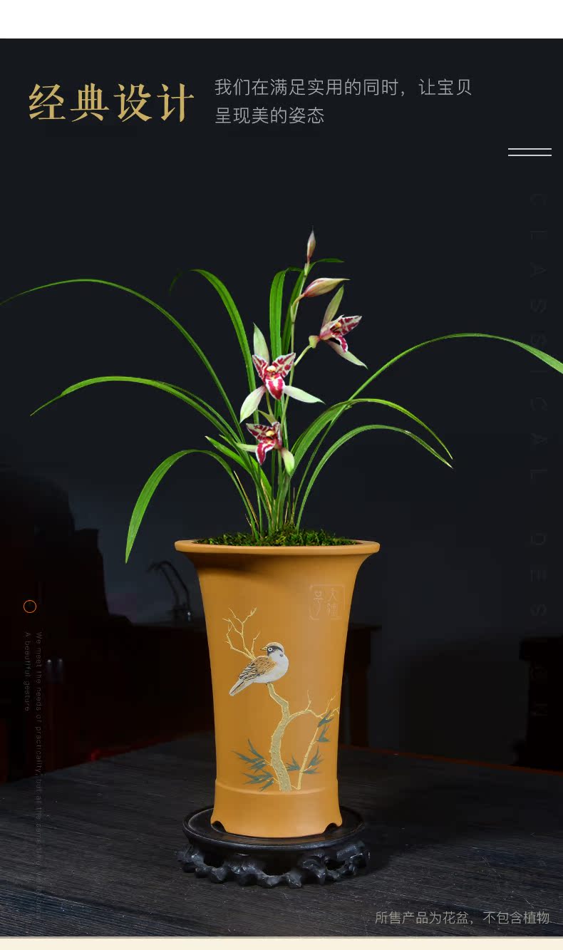 Greatness, ceramic purple sand flowerpot breathable clivia orchids bluegrass butterfly orchid green plant bonsai pot special pot