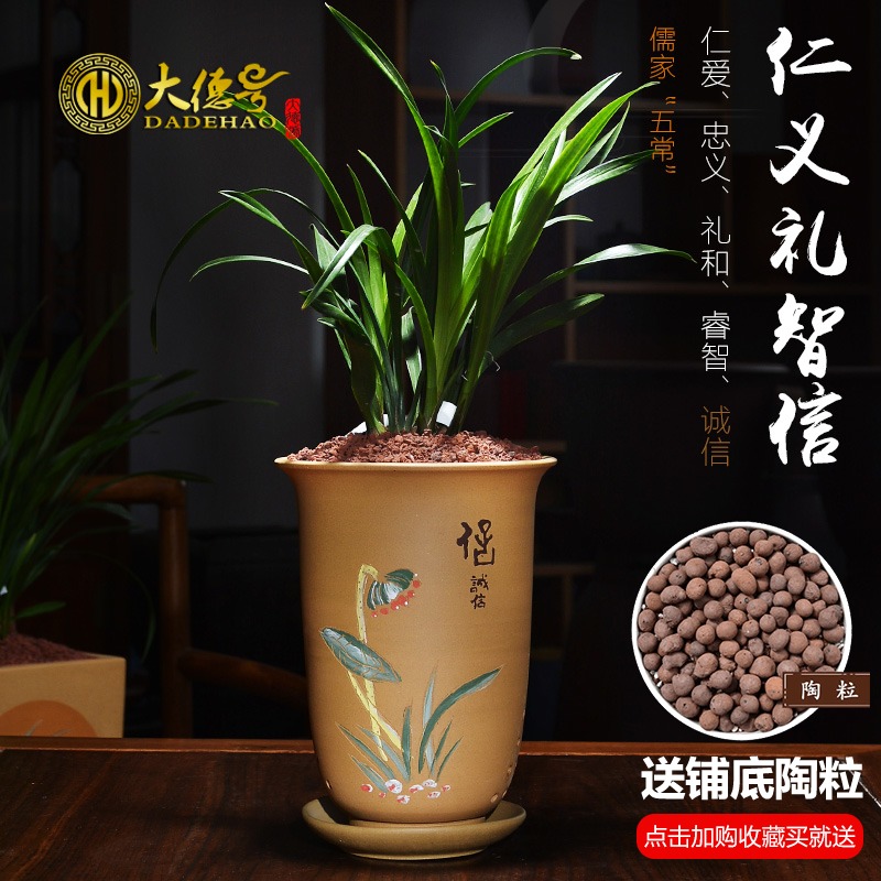 Four seasons of greatness, yixing purple sand clivia flower pot chlorophytum facilities. We ceramic violet arenaceous basin to orchid is special