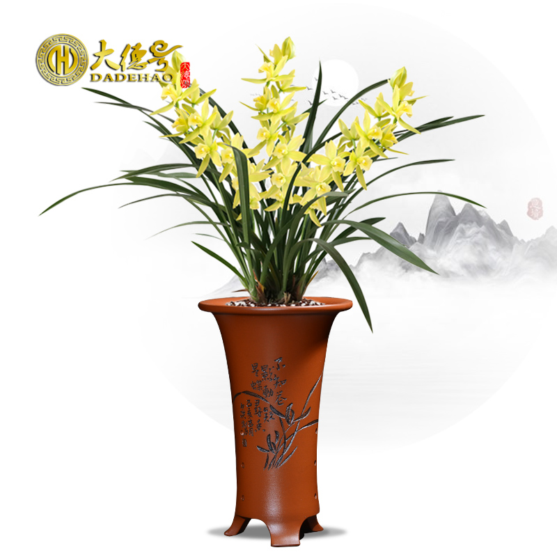 Flowerpot ceramic blue flower of bracketplant of the large - sized purple sand Flowerpot bluegrass yixing violet arenaceous basin to orchid orchid is special