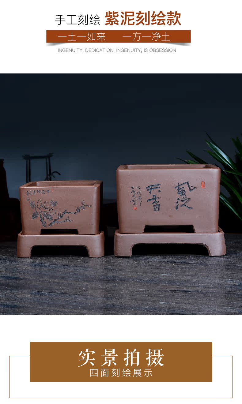 Greatness, yixing purple sand size flowerpot more than four square basin meat clivia is carved painting special pot the plants