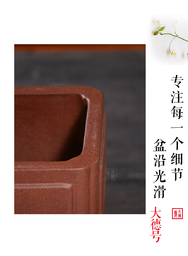 Square purple sand flowerpot ceramic ventilation butterfly orchid with tray clivia special hanging basket bluegrass potted flower pot