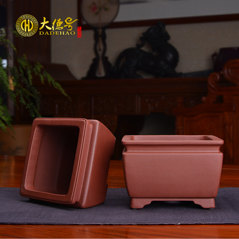 Square purple sand flowerpot meaty plant calamus asparagus contracted classic indoor size bonsai pot pot pot