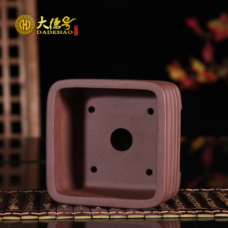 Plant flowers, green asparagus, fleshy Plant bamboo square purple sand flowerpot
