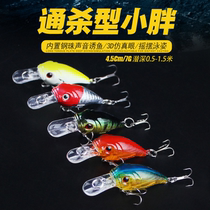 Fishing gear bait laser built-in steel ball Rock little fat 5cm5G diving 0 5-1 m Luya bait