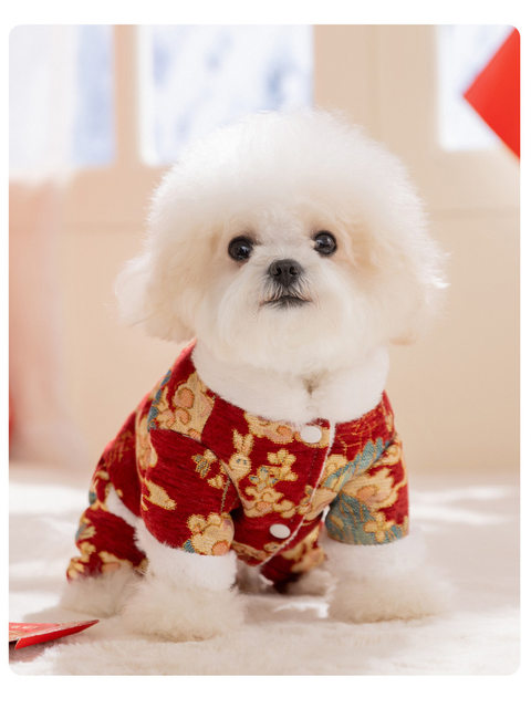 Spring Festival Festive Dog Clothes for Small Dogs, Teddy Winter Warm Tang Suit for New Year Celebrations, Suitable for Outdoor Use with Leash, Four-Legged Cotton Coat