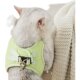 New cat traction rope to prevent break-away and go out, vest-style high-looking Velcro straps for small cats and cat walking ropes