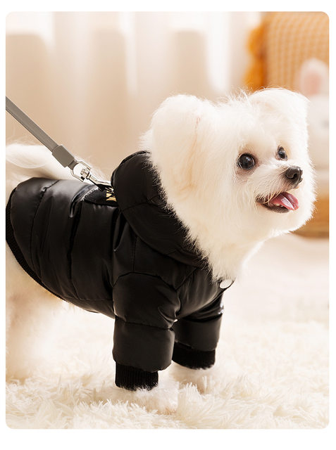 Autumn and Winter Warm Clothing for Small Dogs, Suitable for Cats, Four-Legged Pet Clothing, Small Dog Bichon Hooded down Jacket