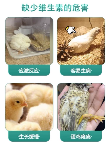 Электролитический многомерный 36 золотой витамин куриная курица рудин