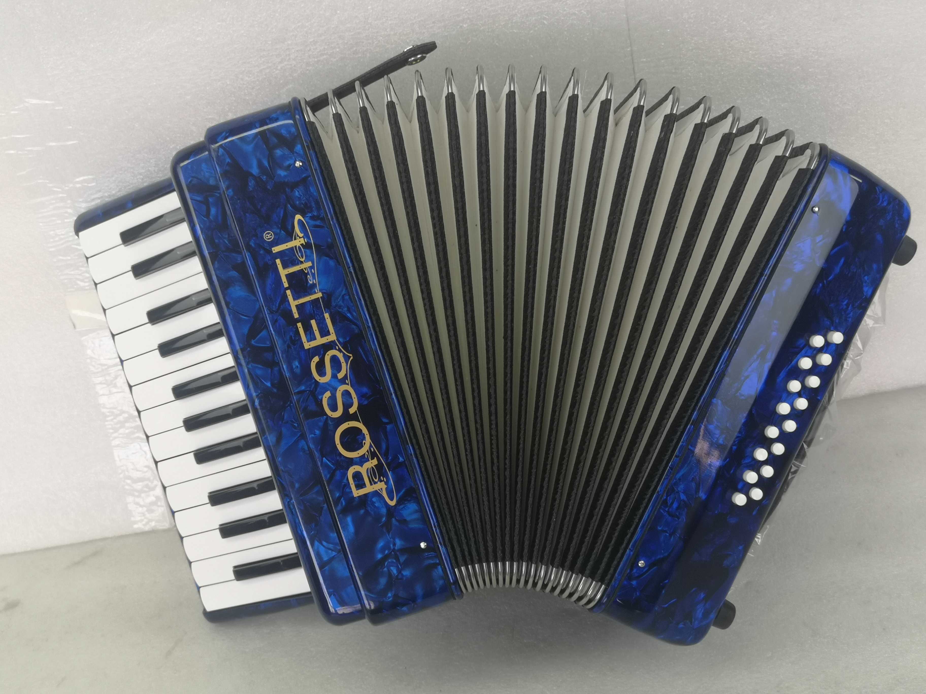 Rossetti 25 key 16 bass accordion