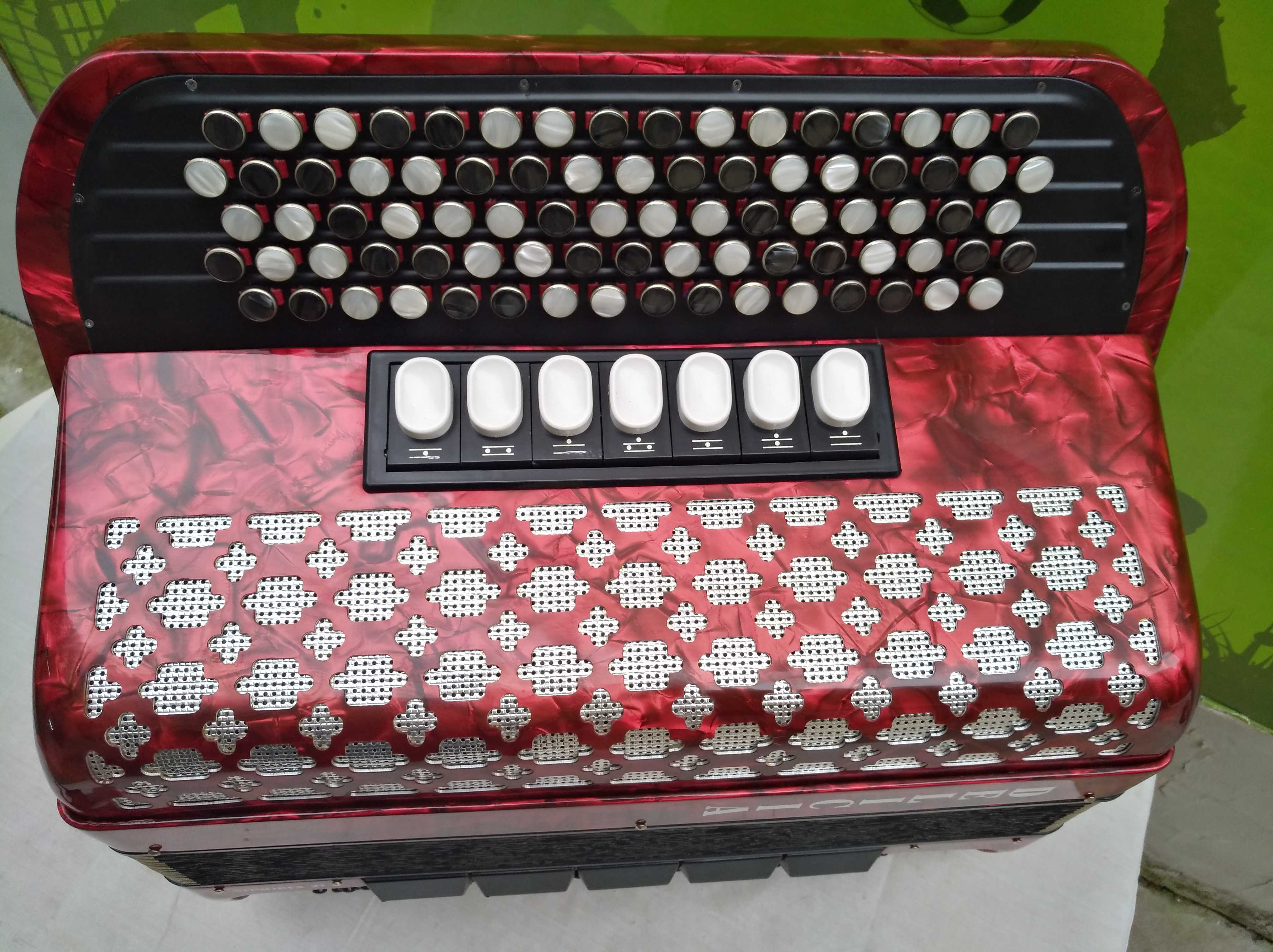 Czech original DELICIA120 BASS 3-row SPRING C system Bayan ACCORDION