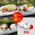 Túi than tre khử mùi nội thất ô tô than tre chó xe mới loại bỏ formaldehyde loại bỏ túi than hoạt tính mô phỏng đồ trang trí cho chó phụ kiện ô tô hà nội báo giá phụ tùng toyota Phụ kiện xe ô tô