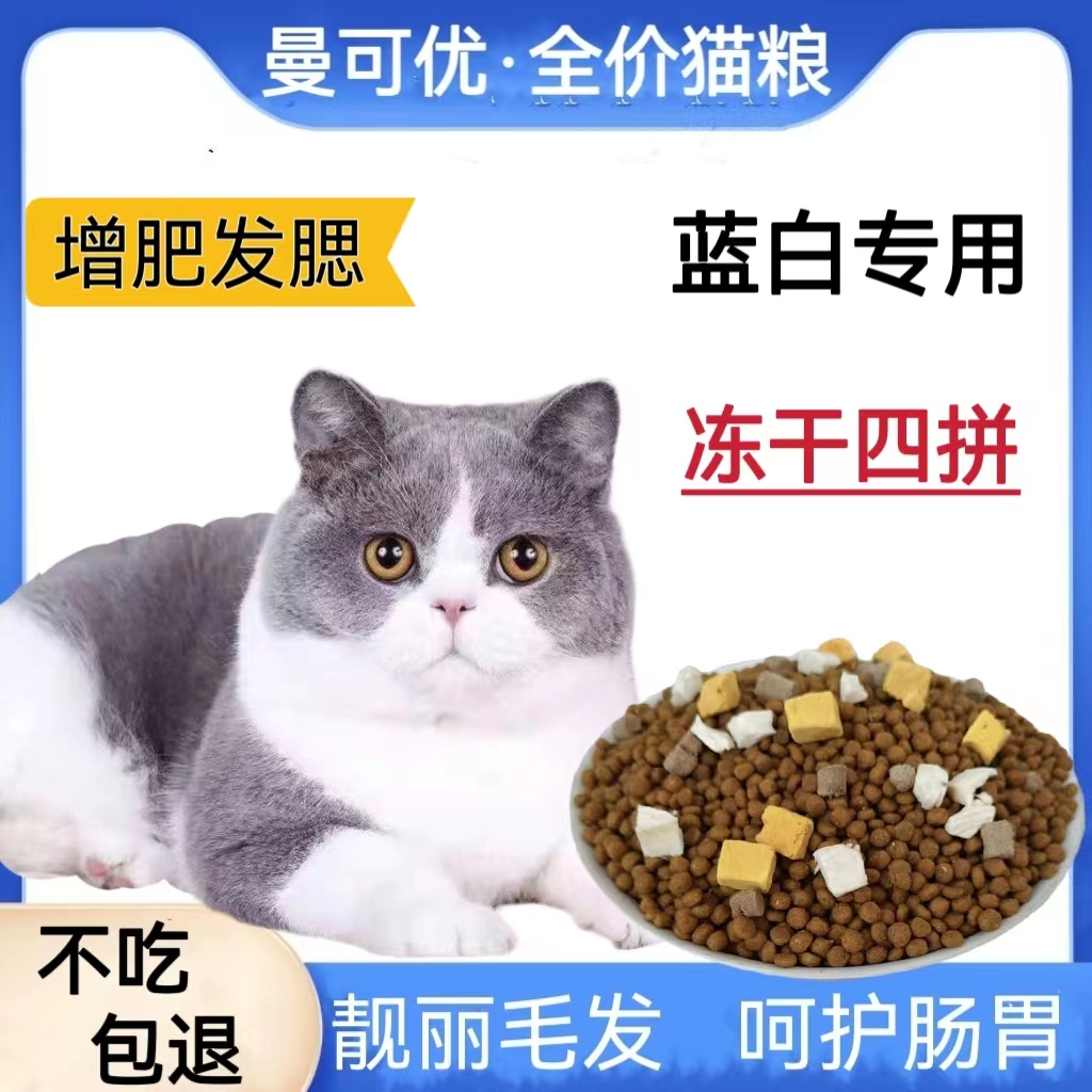 Blue and white English short cat exclusive full price freeze-dried cat food 5 catty for 10 catty cat to become cat fatter pet little kitty recommended-Taobao