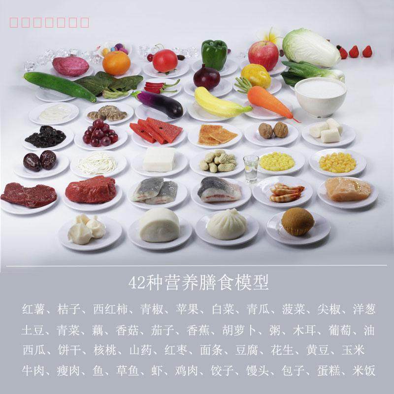 42 Nutritional Dietary Model Simulation Foods China Residents Food Guide Guide Medical Teaching Props