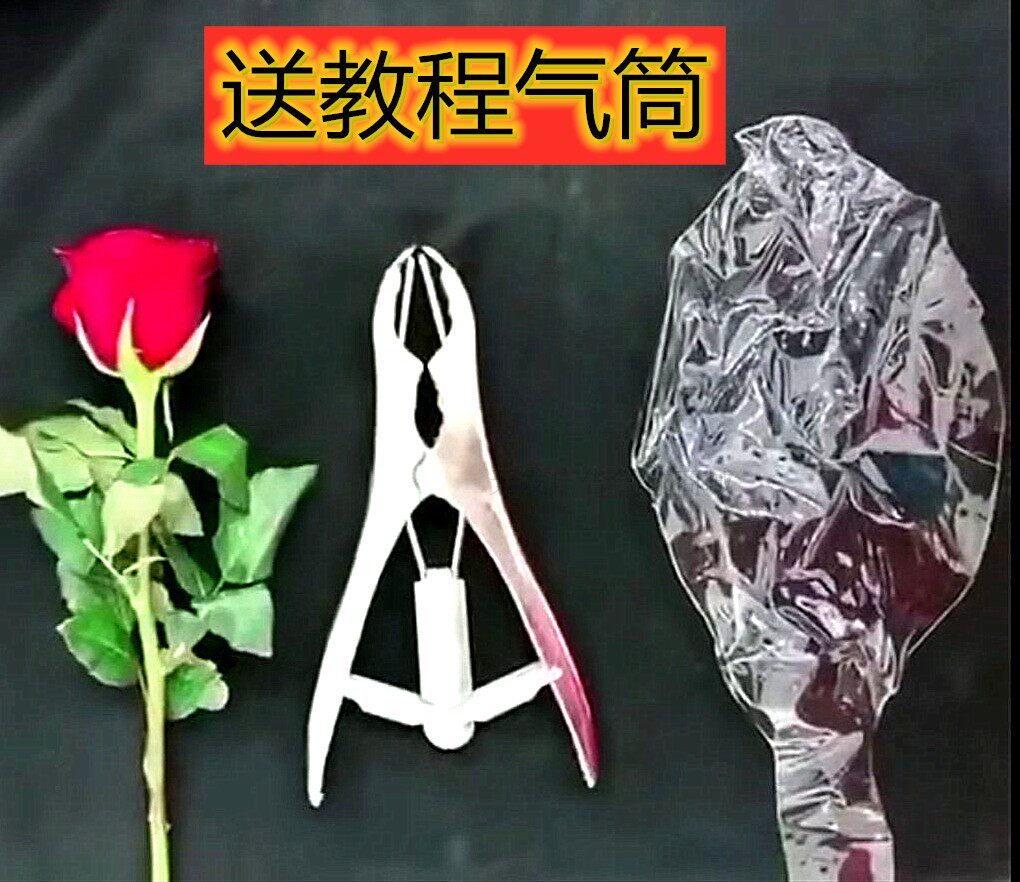 Net red stretch version Popo ball 18 inch 24 inch 36 inch 36 inch Popo ball rose