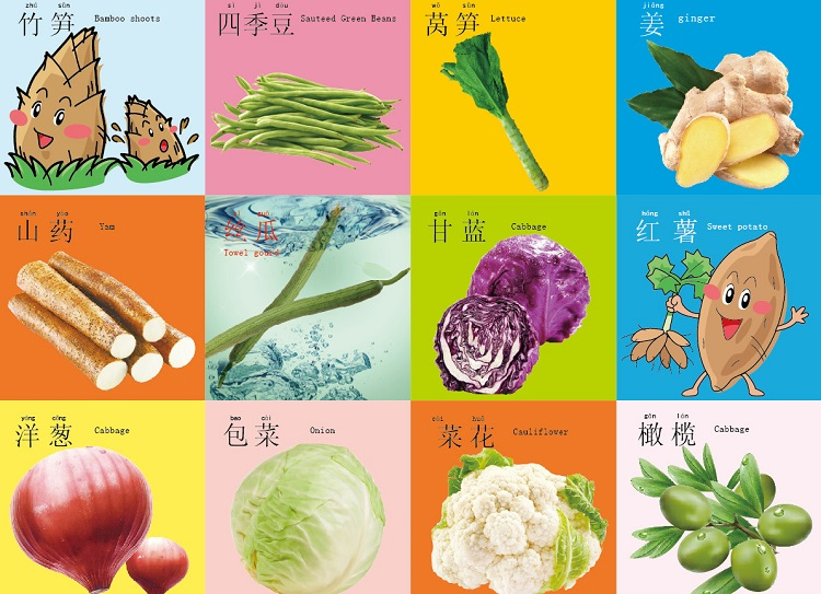 Trẻ sơ sinh và trẻ nhỏ xé không tệ cuốn sách giáo dục sớm cuốn sách bé giác ngộ kiến ​​thức thẻ từ atlas 0-3 tuổi đồ chơi thẻ - Đồ chơi giáo dục sớm / robot đồ chơi điện tử chó robot thông minh