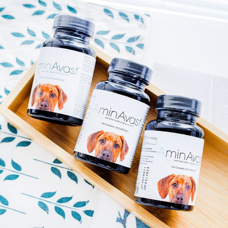 U.S. AminAvast renal failure amine kidney cat and dog chronic renal failure renal injury 1000mg 60 capsules (for dogs)