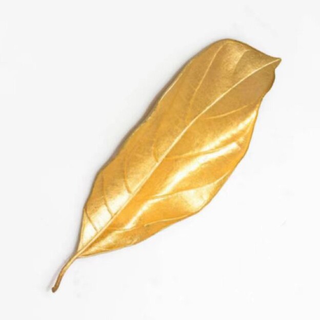 新金叶的LOGO