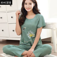 8040 Dark Green